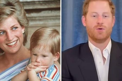 Sinh nhật của cố Công nương Diana: Hoàng tử Harry và William đưa ra lời tưởng nhớ theo hai cách khác biệt