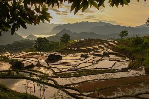 Ngắm vẻ đẹp yên bình ruộng bậc thang Pù Luông mùa đổ nước