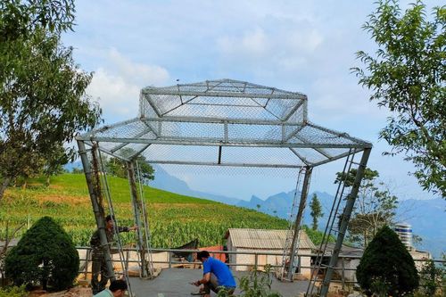 Mùa hè không nghỉ của thầy cô