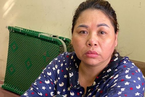 Giở trò để chiếm đoạt tài sản, người phụ nữ vướng vòng lao lý