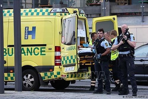 Vụ xả súng tại Copenhagen, Đan Mạch có thể là hành động khủng bố