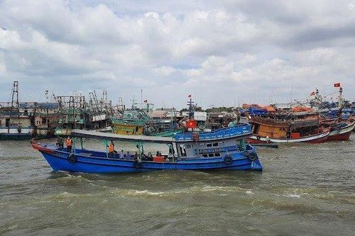 Đề xuất xử phạt nhà cung cấp thiết bị giám sát tàu cá không chất lượng