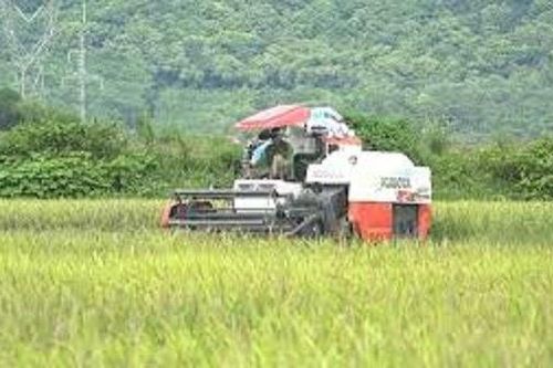 Bình Thuận: Thanh niên dùng kéo đâm người khi đang cày ruộng, lãnh án tù