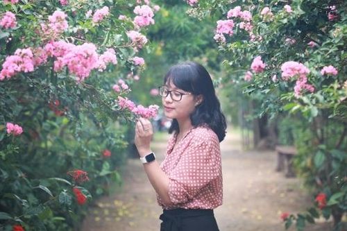 Con đường tường vi đẹp nhất Hà Nội chuẩn bị nở rộ, hứa hẹn đông khách từ tuần sau