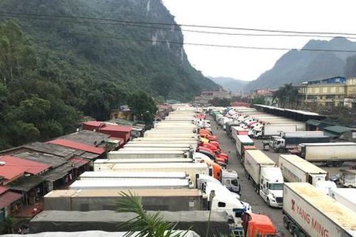 Bộ Công Thương cảnh báo về nguy cơ tái diễn ùn ứ nông sản