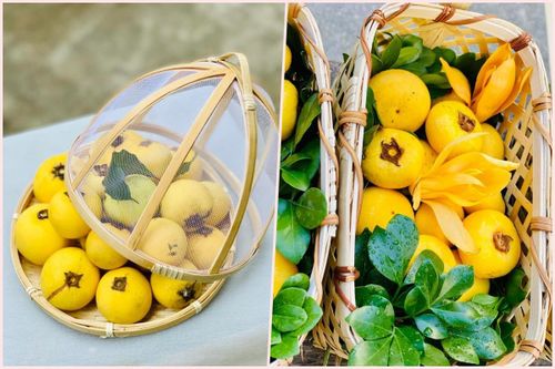 Loại quả 'gây thương nhớ' vào mùa, giá chát gần 200.000 đồng/kg vẫn cháy hàng