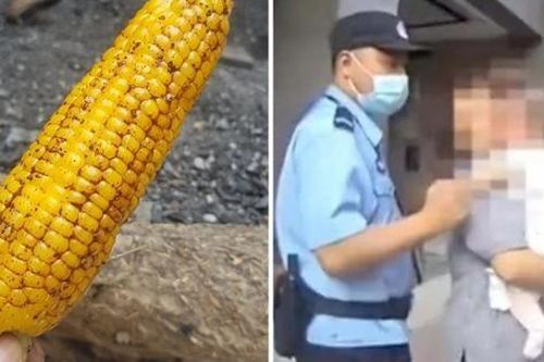 Tiện tay ném lõi ngô từ căn hộ chung cư xuống, một người Trung Quốc đối diện mức án cực nặng