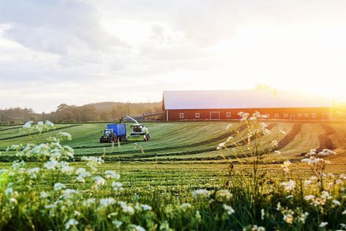 Người dân bảo vệ môi trường theo cách đặc biệt