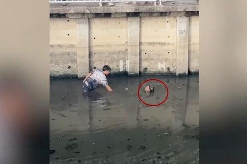 Cụ ông 'nổi' giữa kênh nước tưởng xác chết, hóa ra…đang thiền