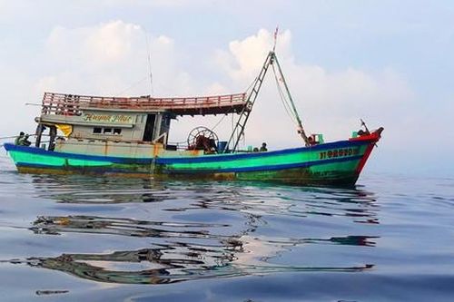 Cà Mau đề xuất hướng xử lý thiết bị giám sát hành trình tàu cá mất kết nối