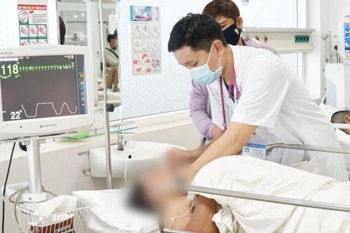 Nghi do ăn nhộng ve sầu, 3 người đàn ông nhập viện khẩn