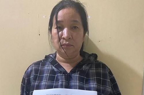 Thanh Hóa: 'Nữ quái' chuyên lừa đảo vay vốn ngân hàng chính sách sa lưới