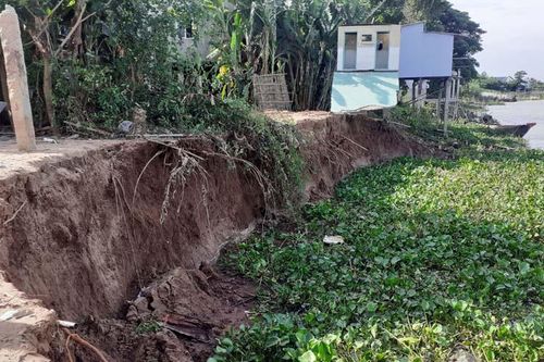An Giang công bố tình huống khẩn cấp thiên tai sạt lở sông Hậu