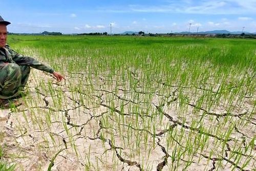 Miền Trung: Vật vã với nắng nóng, khô hạn
