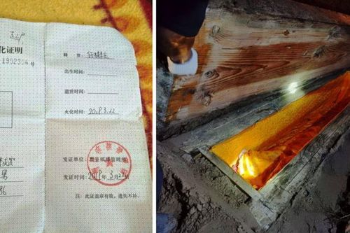 Vụ án đào mộ, trộm thi thể chấn động Trung Quốc
