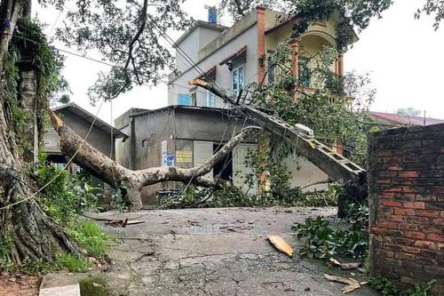 Chủ động ứng phó mưa lũ, ngập lụt