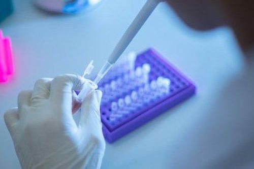 Hà Nội tăng cường thu thập mẫu để giải trình tự gene tìm biến chủng mới