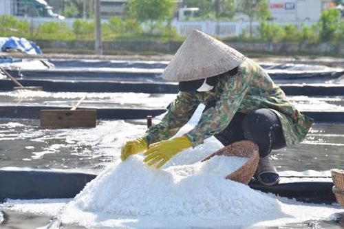 Quảng Ngãi: Giá muối đạt kỷ lục sau nhiều năm ''rẻ như bèo''