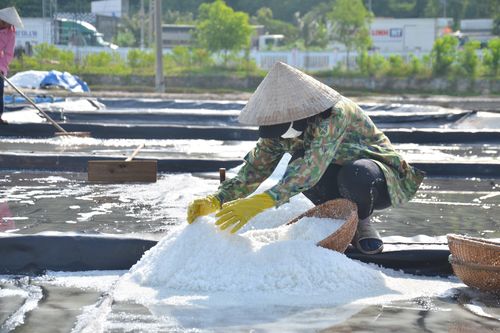 Quảng Ngãi: Giá muối tăng kỷ lục, diêm dân Sa Huỳnh phấn khởi
