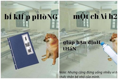 Nằm lòng '7749' bí kíp cho sĩ tử 2K4 khi thi tốt nghiệp THPT