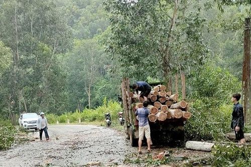 Tuyên Quang: Dông lốc gây thiệt hại cục bộ