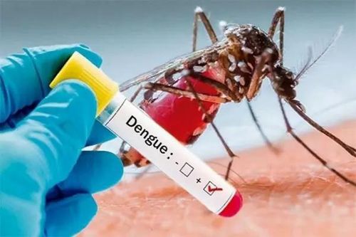 Ca mắc sốt xuất huyết ở Đà Nẵng tăng đột biến, gấp 22 lần so với cùng kỳ