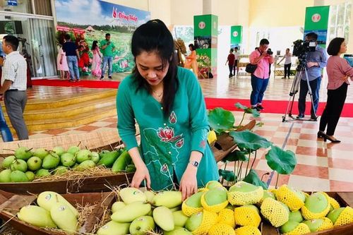 Đồng Tháp: Lần đầu tổ chức Lễ hội xoài Cao Lãnh