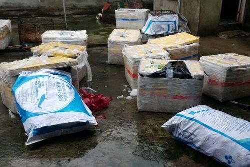 Phát hiện xe khách vận chuyển lô sản phẩm động vật bốc mùi hôi thối