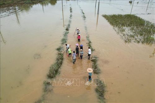 Mưa lớn tại Đông Bắc Trung Quốc do ảnh hưởng của bão Chaba