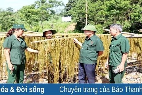 Những cựu thanh niên xung phong làm kinh tế giỏi