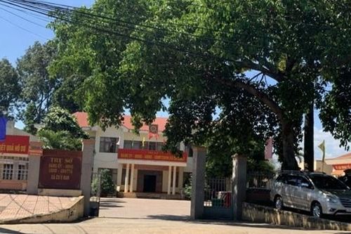 Điều tra vụ phối bò giống… trên giấy