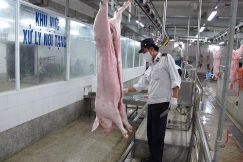Khẳng định vai trò trong phát triển chăn nuôi Thủ đô