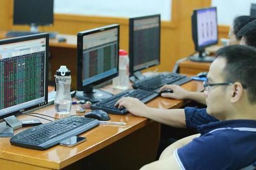 Chứng khoán lao dốc, nhà đầu tư vẫn 'đâm đầu' tìm cơ hội kiếm tiền