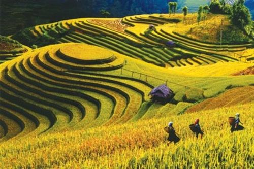 Yên Bái: Doanh thu từ hoạt động du lịch đạt 524,3 tỷ đồng