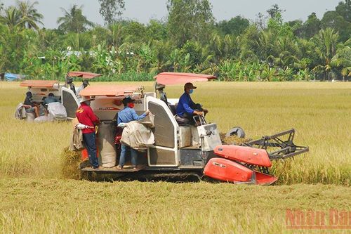 Nguồn nước cho sản xuất vụ thu đông, vụ mùa ở khu vực Nam Bộ tương đối thuận lợi