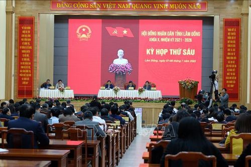Lâm Đồng: Thống nhất chuyển đổi đất rừng để làm dự án, đường giao thông