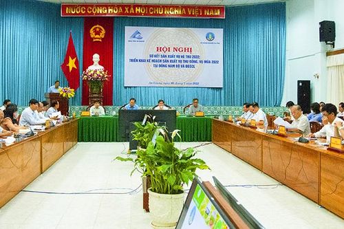 Sản xuất trồng trọt giữ vững diện tích, năng suất, sản lượng đáp ứng yêu cầu tăng trưởng