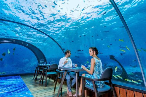 Nhà hàng dưới nước lớn nhất thế giới ở Maldives