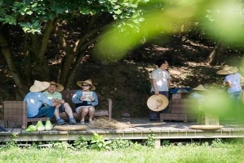 24 gia đình rủ nhau góp trăm tỷ làm 'biệt phủ' ở làng quê