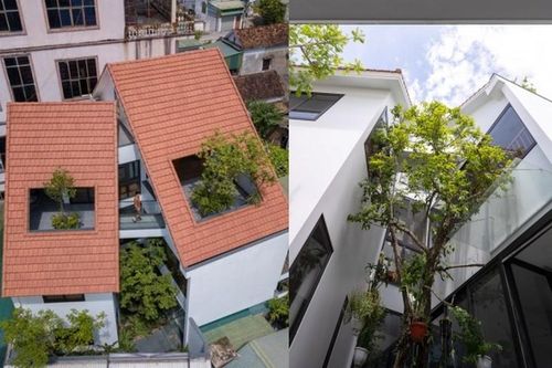 Xây trên đất méo, nhà mái ngói ở Nghệ An đẹp 'xiêu lòng'