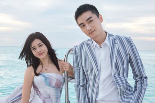 Sự nghiệp trái ngược của Trần Nghiên Hy - Trần Hiểu