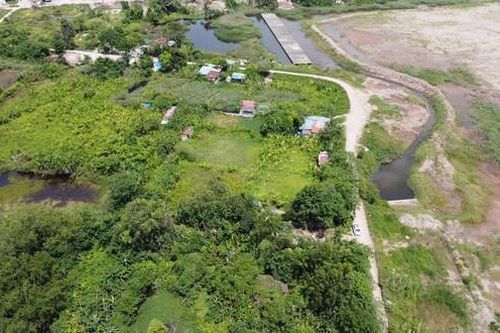 Hải Phòng: Toàn cảnh vụ cụ bà tử vong sau 5 ngày bị đưa khỏi nơi cưỡng chế