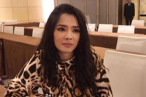 Là nghệ sĩ, đừng ăn theo câu view trong vụ Hồ Hoài Anh - Hồng Đăng