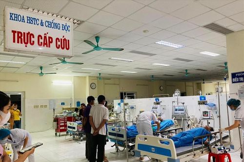 Tám người ngộ độc do ăn mật cá trắm