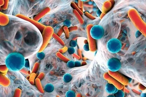 Tình trạng gây chết người nhiều hơn cả HIV/AIDS