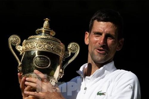Djokovic vô địch Wimbledon vẫn rơi xuống hạng 7 thế giới
