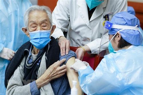 Israel: Mũi vaccine COVID-19 thứ 4 hiệu quả rất cao với người lớn tuổi