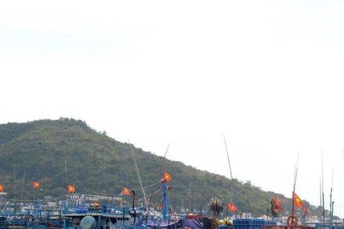 Khánh Hòa phát thông báo 19 tàu cá thuộc diện mất tích
