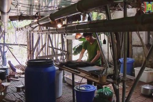 Chàng trai đam mê phát triển cổ phục Việt