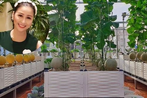 Vườn sân thượng hữu cơ con gái trồng tặng mẹ
